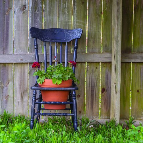 Upcycled Chair Planter